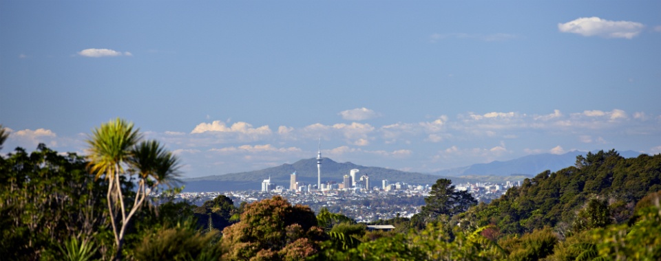 Auckland City