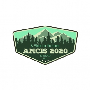 AMCIS 2020